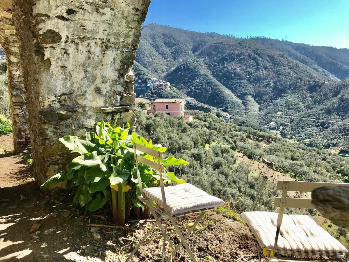Agriturismo Sancristoforo ليفانتو المظهر الخارجي الصورة